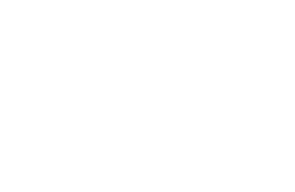 Haven Nexus